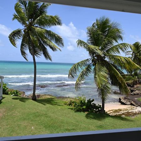 Studio Vue Sur Mer Fort D'Epee Le Gosier  Bagian luar foto
